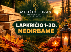 Lapkritis